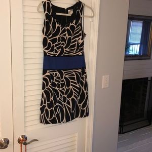Nicole Miler dress